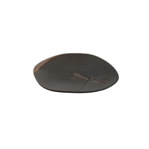 Fossil Plato libélula 32cm Piedra | Caja 4 Unidades